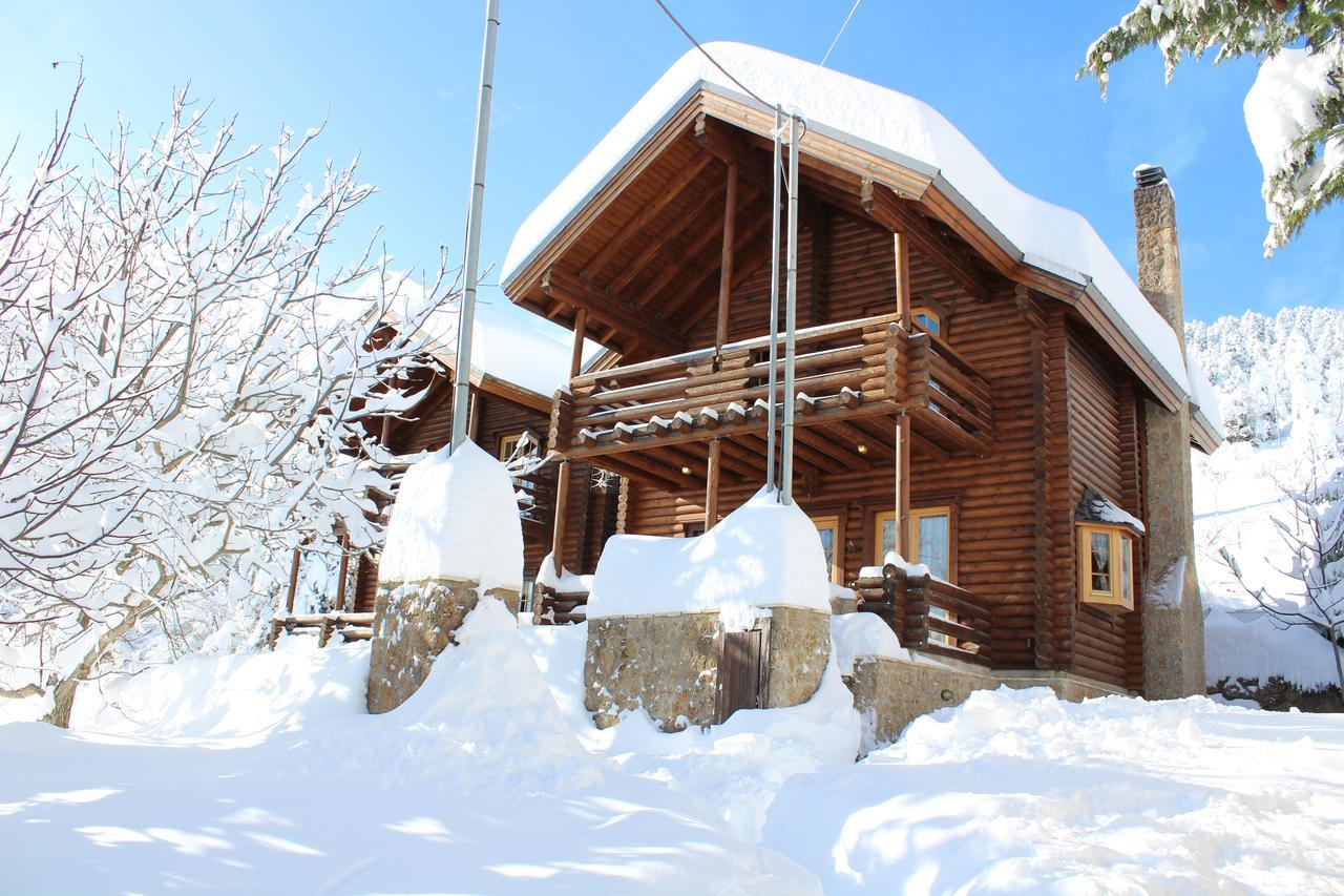 Paradise Chalet Ano Trikala Exterior foto